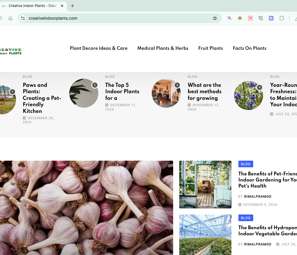 creativeindoorplants